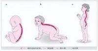 儿童床垫挑选9大避坑指南六：22 什么才是护脊的儿童床垫？