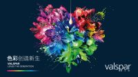 洞见 | 威士伯 赵霞：专研色彩密码，与中国设计师同行！