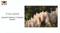 开启T型门市场新潮向，霍尔茨邀您共赢未来