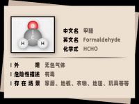 除甲醛靠绿植？NO！真正有效的方法是