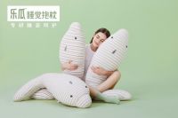 探寻乐瓜睡觉抱枕成功路径，如何成为护睡用品界新星