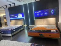重磅|席梦思黑金系列山东东营睡眠体验馆隆重开业