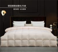 艾莱依家纺：不止于暖，贴心如初