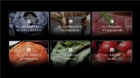 TCL白家电25周年标杆之作：TCL格物冰箱Q10领鲜全球