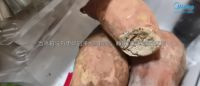 揭露家庭食粮浪费现象，美的冰箱世界粮食日主题视频引关注