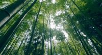 背景墙的风靡丨永远可以给你带来无限惊喜！