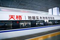 双11买地板 首选口碑品牌 | 天格地板荣获多项大奖 引领消费新升级