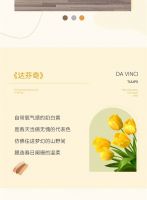 【米兰壁纸墙布窗帘】Milan墙布 | 把春日限定留在每个季节