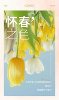 【米兰壁纸墙布窗帘】Milan墙布 | 把春日限定留在每个季节