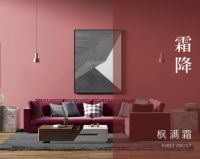 京东新百货11.11举行墙地面色彩趋势发布会 推出24节气色彩方案和VR样板间