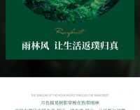 【领绣·菁华】热带雨林篇回到原始森林，来一场热带旅行