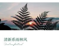 【领绣·菁华】热带雨林篇回到原始森林，来一场热带旅行