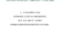【领绣·菁华】热带雨林篇回到原始森林，来一场热带旅行