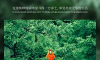 【领绣·菁华】热带雨林篇回到原始森林，来一场热带旅行