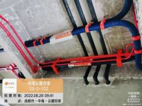 舒适猫2022工匠大比拼：“变”与“不变”中，初心长驻