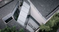 《生活进化论》第三季精彩继续，COLMO对话建筑师戚山山：理享空间生长于自然