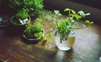 最让人头疼的甲醛问题你解决了吗？看看这篇文章，新手小白轻松学会！