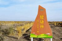 美好生活健康开启 海信中央空调“健康南山跑”初冬火力开跑