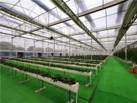 新品塑递丨联塑基质/椰糠栽培槽，摆脱传统土壤种植约束，实现高效集约生产！