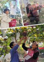 全友“甜蜜友约·幸福U你”服务主题活动火热进行中