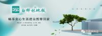 白桦林地板 秋/冬天的保养技巧