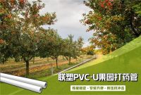 绿色又健康！农作物茁壮成长的秘密在这里