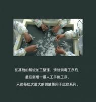 奢华羽绒被:CHALET 雪山度假屋 | 尚缇丝卡夫曼