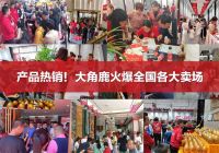 实力见证！大角鹿荣获“2022年度十大建陶风云企业”