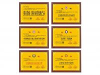 新东源的2022——重温我们的高光时刻