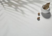 被夸爆的箭牌复合轻纹砖轻纹原素系列，小红书的网红达人都种草了！