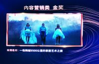 法国司米“飞屋IP”再获第九届TMA营销大奖两项金奖！