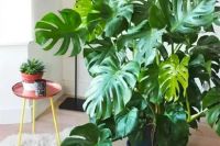 室内甲醛我们应该怎么处理？甲醛是从哪里来的呢？