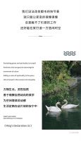 【领绣·菁华】洲渚遥岑丨百种居家生活风采，丰富的人生百态