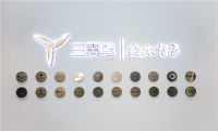 3年4次迭代！看海尔智家做强三翼鸟的战略坚定