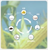 钱皇新品雪顶蚕丝被上市，以科技促进健康睡眠