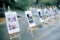 青设委高光峰会暨2022-2023年会圆满成功