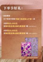 「品质国货 安心护航」书香门地美学地板315活动开启