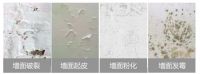 两只璧琥公共体系涂料定制一站式解决方案，助力绿色城市多元化建设