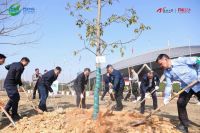 植绿迎亚运，久盛地板助力2023全省珍贵树赠苗植树活动