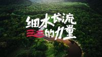 官宣 | 箭牌泽计划×蚂蚁森林：绿色力量，我们一同「箭」证