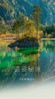 【领绣】 《至美臻品8》|婆娑秘境，空灵缥缈的朦胧美