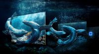 专注打造沉浸震撼的视觉体验 三星运用创新技术开拓 8K未来