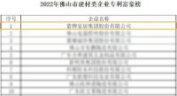 重磅！箭牌实力荣登2022年佛山市建材类企业专利富豪榜榜首