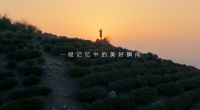 知乎新奇实验室，如何找回记忆中的美好瞬间？