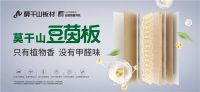 为美好生活买单 Z世代种草莫干山ENF级板材