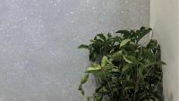 专访 | 贝莱维斯设计总监薛博文 发挥想象为用户打造个性化的家