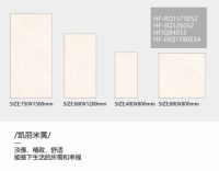 【新品速递】瓷砖竟然也有子母款！惠万家子母款系列新品一套装全屋