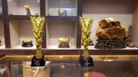 首届“羊城杯”赏石艺术展盛大举办