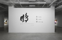 鹏 | 许东荣个展