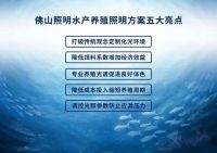 光照赋能渔业新突破,佛山照明养殖照明再传捷报